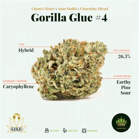 gummi gorilla|Gorilla Gum Marijuana Strain Information & Reviews